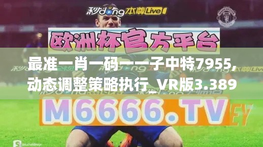 最準(zhǔn)一肖一碼一一子中特7955,動(dòng)態(tài)調(diào)整策略執(zhí)行_VR版3.389