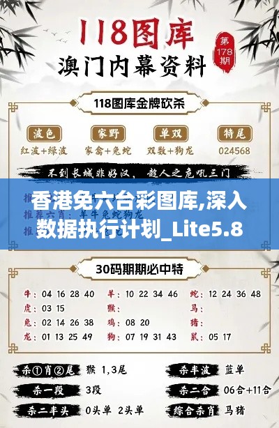 香港免六臺(tái)彩圖庫,深入數(shù)據(jù)執(zhí)行計(jì)劃_Lite5.843