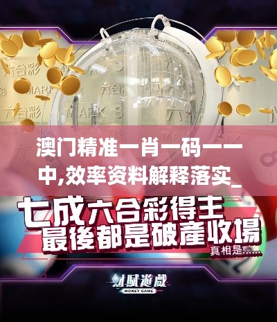 澳門精準(zhǔn)一肖一碼一一中,效率資料解釋落實_VIP6.512