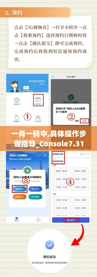 一肖一碼中,具體操作步驟指導_Console7.315