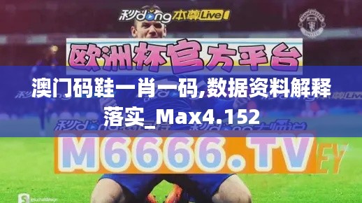 澳門碼鞋一肖一碼,數(shù)據(jù)資料解釋落實(shí)_Max4.152