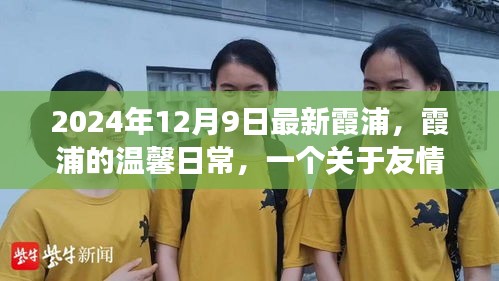 霞浦的溫馨日常，友情、愛與陪伴的故事（2024年12月9日最新）