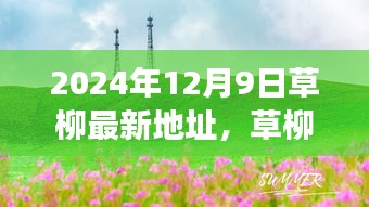 草柳新探，尋找內(nèi)心平靜的旅程（最新地址）