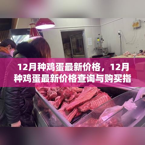 12月種雞蛋最新價格及購買指南