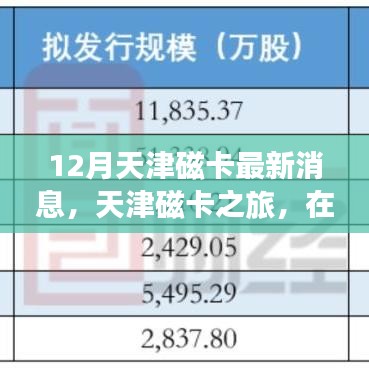 12月天津磁卡最新消息，天津磁卡之旅，在冬日陽光里尋找心靈的寧靜