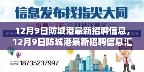 12月9日防城港最新招聘信息匯總，職場人的福音