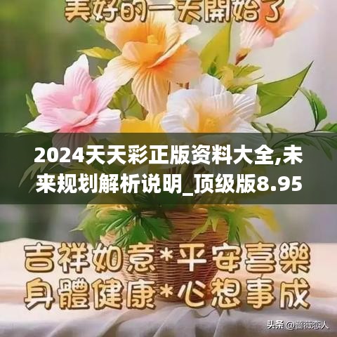 2024天天彩正版資料大全,未來規(guī)劃解析說明_頂級版8.956