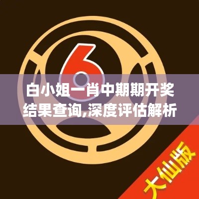 白小姐一肖中期期開(kāi)獎(jiǎng)結(jié)果查詢(xún),深度評(píng)估解析說(shuō)明_V10.610