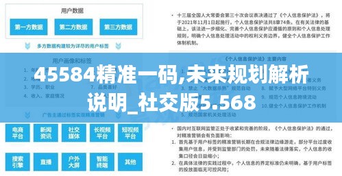 45584精準一碼,未來規(guī)劃解析說明_社交版5.568