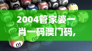 2004管家婆一肖一碼澳門碼,證據(jù)解答解釋落實(shí)_Mixed2.214