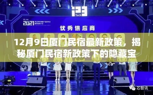 揭秘廈門民宿新政策下的隱藏寶藏，小巷風情民宿體驗指南（12月最新）