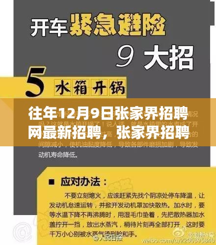 探尋人才與機遇交匯點，張家界招聘網歷年12月9日最新招聘深度解析