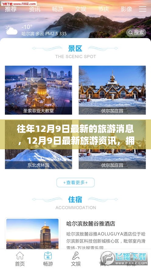 12月9日最新旅游資訊，擁抱自然，探尋世外桃源的旅程