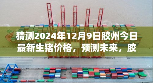 膠州最新生豬價格預測及分析，未來走勢展望（2024年12月9日）