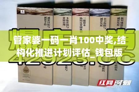 管家婆一碼一肖100中獎,結(jié)構(gòu)化推進(jìn)計劃評估_錢包版1.780