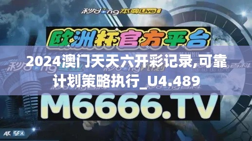 2024澳門天天六開彩記錄,可靠計(jì)劃策略執(zhí)行_U4.489