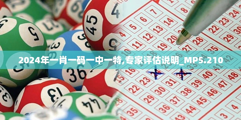 2024年一肖一碼一中一特,專家評估說明_MP5.210