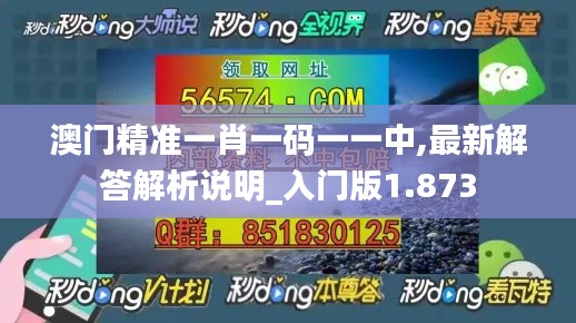澳門精準(zhǔn)一肖一碼一一中,最新解答解析說(shuō)明_入門版1.873