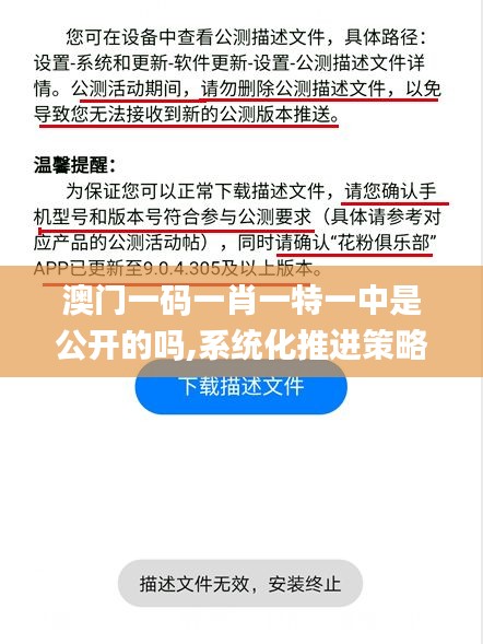 澳門一碼一肖一特一中是公開的嗎,系統(tǒng)化推進(jìn)策略探討_標(biāo)配版2.650