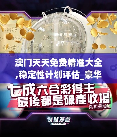 澳門天天免費(fèi)精準(zhǔn)大全,穩(wěn)定性計(jì)劃評估_豪華版4.637