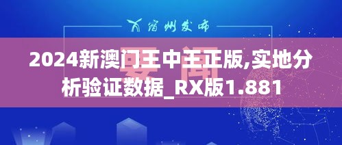 2024新澳門王中王正版,實(shí)地分析驗(yàn)證數(shù)據(jù)_RX版1.881