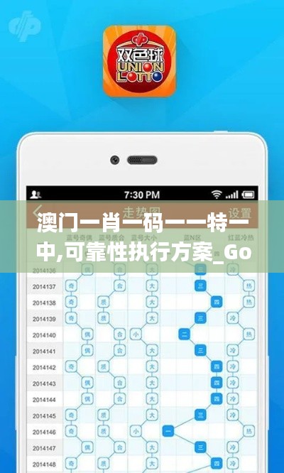 澳門一肖一碼一一特一中,可靠性執(zhí)行方案_Gold8.604