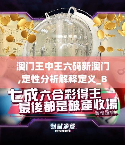 澳門(mén)王中王六碼新澳門(mén),定性分析解釋定義_BT11.634
