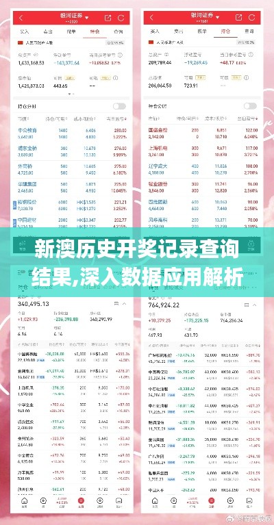 新澳歷史開獎記錄查詢結(jié)果,深入數(shù)據(jù)應(yīng)用解析_復(fù)刻款10.365