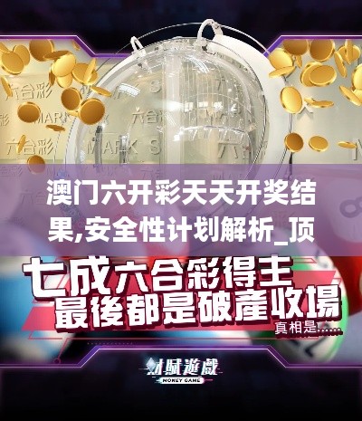 澳門六開彩天天開獎(jiǎng)結(jié)果,安全性計(jì)劃解析_頂級款5.660