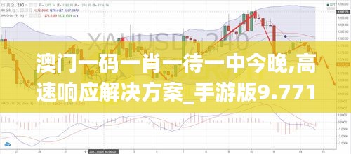 澳門(mén)一碼一肖一待一中今晚,高速響應(yīng)解決方案_手游版9.771