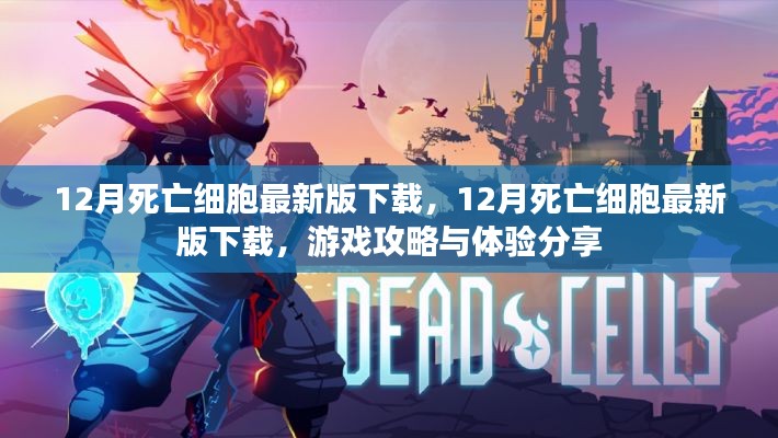 死亡細(xì)胞游戲攻略分享，最新版下載與體驗(yàn)報告
