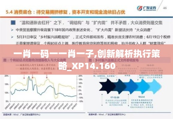 一肖一碼一一肖一子,創(chuàng)新解析執(zhí)行策略_XP14.160