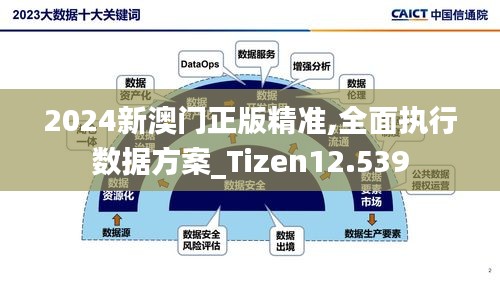 2024新澳門正版精準,全面執(zhí)行數(shù)據方案_Tizen12.539