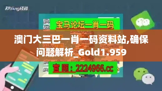 澳門大三巴一肖一碼資料站,確保問題解析_Gold1.959