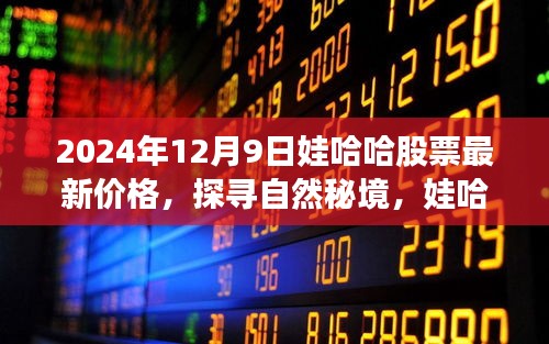 娃哈哈股票最新價格與探尋自然秘境，心靈之旅的和諧交響——2024年股市觀察