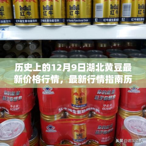 歷史上的12月9日湖北黃豆行情深度解析，最新價(jià)格走勢(shì)與指南