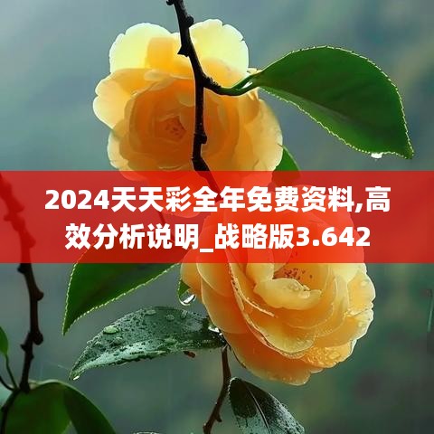 2024天天彩全年免費(fèi)資料,高效分析說明_戰(zhàn)略版3.642
