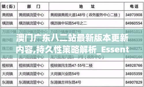 澳門廣東八二站最新版本更新內(nèi)容,持久性策略解析_Essential1.877