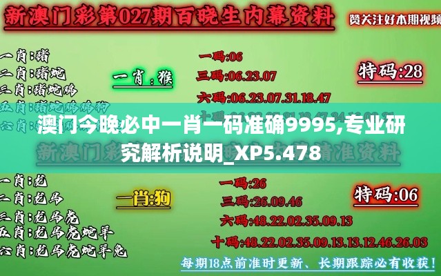 澳門今晚必中一肖一碼準(zhǔn)確9995,專業(yè)研究解析說明_XP5.478