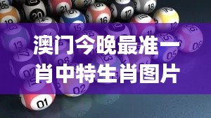 澳門(mén)今晚最準(zhǔn)一肖中特生肖圖片,深層執(zhí)行數(shù)據(jù)策略_創(chuàng)意版9.259