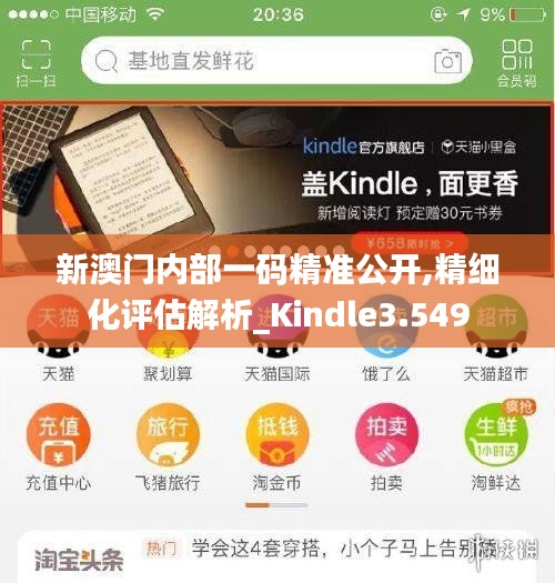 新澳門(mén)內(nèi)部一碼精準(zhǔn)公開(kāi),精細(xì)化評(píng)估解析_Kindle3.549