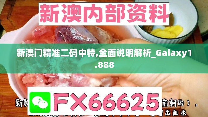 新澳門(mén)精準(zhǔn)二碼中特,全面說(shuō)明解析_Galaxy1.888