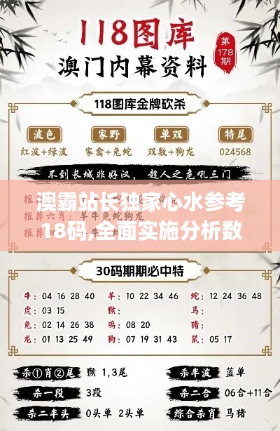 澳霸站長獨家心水參考18碼,全面實施分析數據_桌面版10.657