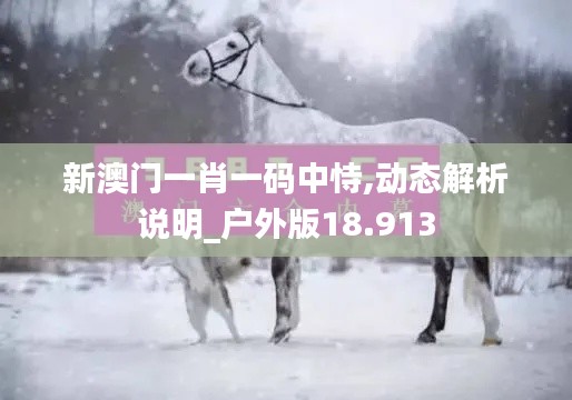 新澳門一肖一碼中恃,動(dòng)態(tài)解析說明_戶外版18.913