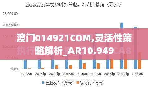 澳門014921COM,靈活性策略解析_AR10.949