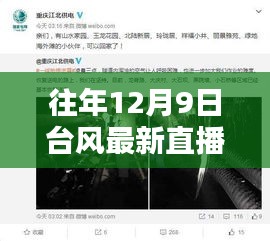 往年12月9日臺風(fēng)最新直播間深度解析，特性、體驗、對比與用戶洞察
