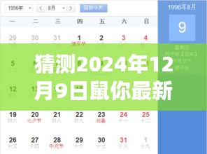 2024年12月9日鼠你應用全面評測，產品特性與用戶體驗深度剖析