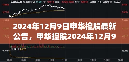 申華控股最新公告深度解讀，2024年12月9日發(fā)布的關(guān)鍵信息