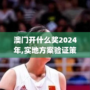 澳門開什么獎2024年,實(shí)地方案驗(yàn)證策略_macOS8.708