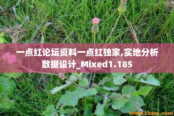 一點(diǎn)紅論壇資料一點(diǎn)紅獨(dú)家,實(shí)地分析數(shù)據(jù)設(shè)計(jì)_Mixed1.185